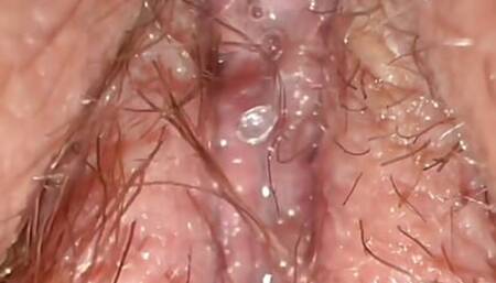 Compilation wife's wet pussy