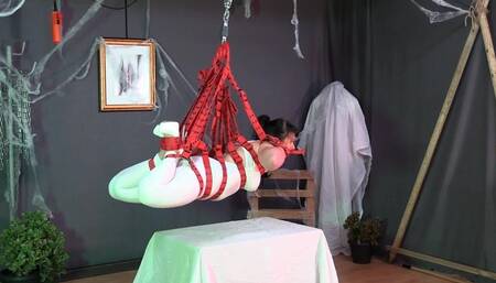 The White Suspension