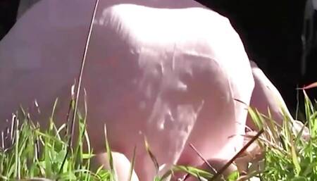 Two busty brunettes enjoy playing with each other in nature