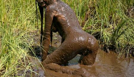 Lily is Sinking About You - Ultimate Edit