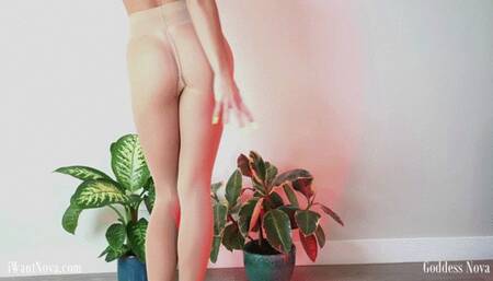 Wolford Cuck Tease