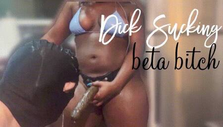 Dick sucking Beta Throat goat