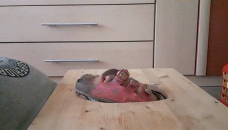 Crushing slave face in slippers without soles