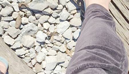 Tempest in flip flops walking on tracks