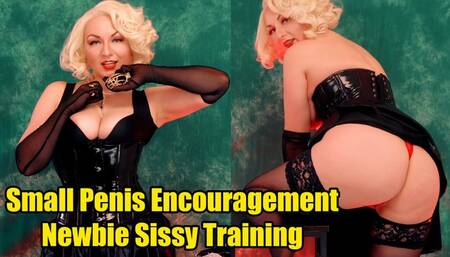 Small Penis Encouragement and Newbie Sissy Training (4K)