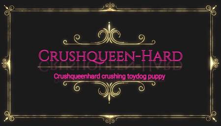 Crushing fuul toydog puppy in nylons and Berkemann wooden Sandals