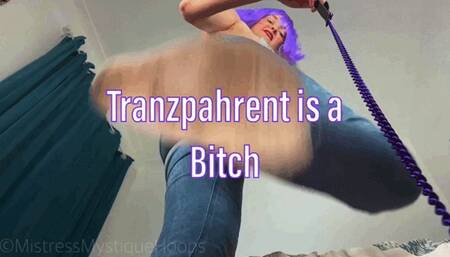 Tranzpahrent is a Bitch - Custom Stomping and Humiliation Femdom POV with Mistress Mystique - MP4