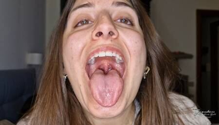 YellowBall Mouth tour