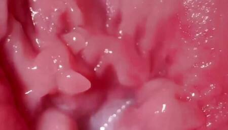 SUPER CLOSE UP - this is what the inside of the vagina looks like