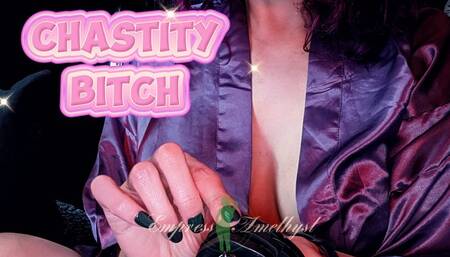 Chastity Bitch