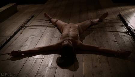 Submissive hot slave gets tied up and fucked hard