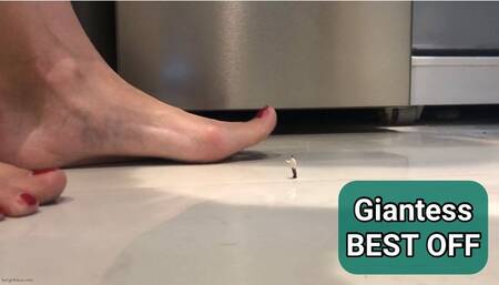UNAWARE GIANTESS WITH BIG FEET BEST OFF - MP4 HD discounted price