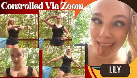 Lily: Controlled Via Zoom