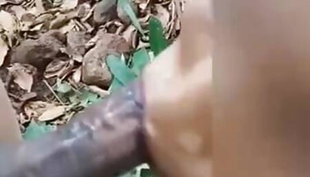 Indian Desi college girl jungle sex video
