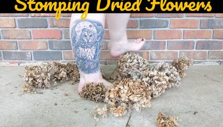 Hydrangea Flower Stomping ASMR