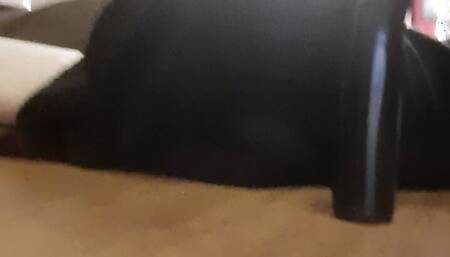 SexyNala