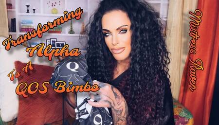 TRANSFORMING ALPHA TO A QOS BIMBO