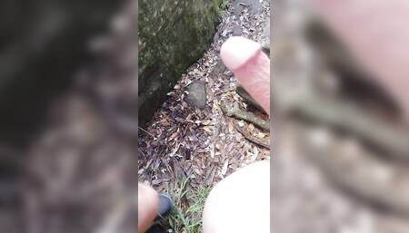 Small cock outdoor jerk