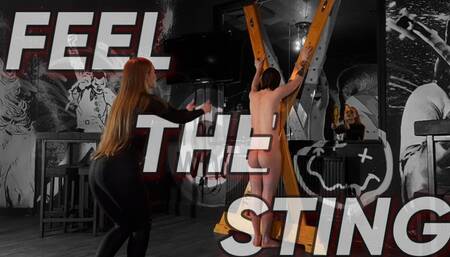 FEEL THE STING (480p)