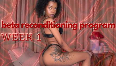 beta Reconditioning Program Week 1 of 12