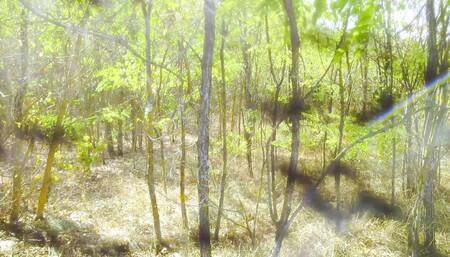 Lady Alice compilation 07 Mesmerizing Beauty  (mesmerize version) View originals by subscription 4K UHD 60 FPS HDR