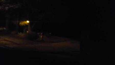 I risk getting caught in my neighbor's yard