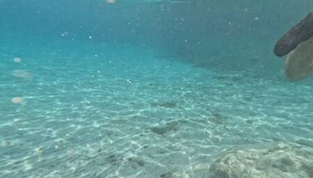 Girl handjob stranger underwater and he cum