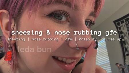 sneezing n nose rubbing gfe