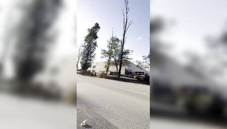 Exhibitionist Trans Girl Caught Flashing In Public!