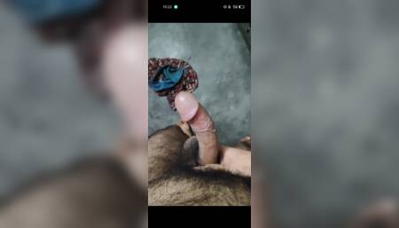 My Big Beautiful Hairy Thick Cock