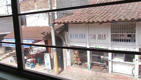 Morning cum swallow right next to the street window