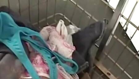 Racy Latina Gets Her Booty Filled with Hot Cum by a Stranger in the Laundromat