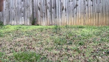 Desperately Peeing Outside