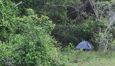 Camping day