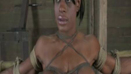 Ashley Starr - Sexually Broken