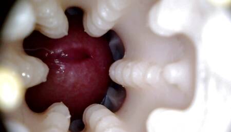 Closeupsexx
