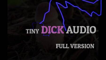 Tiny Dick Audio Full Version