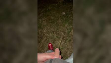 Piss Im Wald