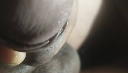 Secy