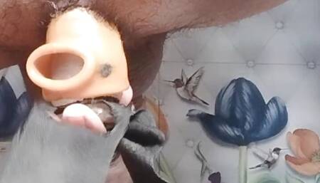 Indian gay boy sex on bothroom
