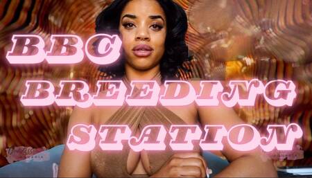 BBC Breeding Station