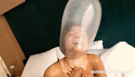 Niel Encased HD