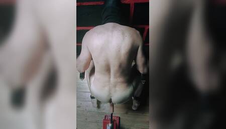 Tried a Gift From Sexquestroom! Happy Ass! What Methods Are Effective for a Good Prostate Massage?