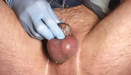 Piss play in small chastity cage