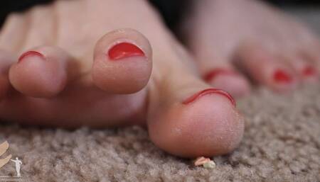 Harleen Shrinking Science Experiments - Part 1