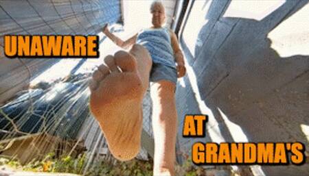 Unaware At Your Grandmothers Surprise Party - HD 1080p Version