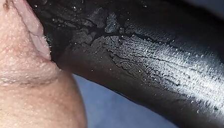 Wet pussy