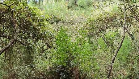 Offering Cash to Sexy Girl in the Forest in Exchange for Sex - Salome Gil