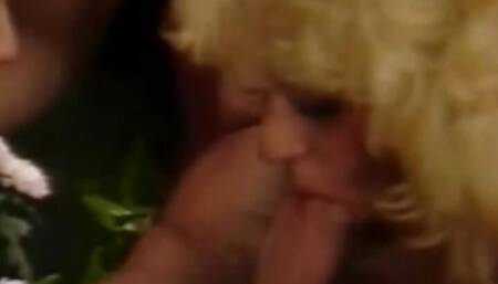 Memories Of The Classic Porn