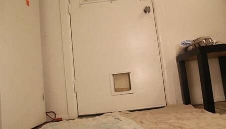 harleyquinn custom diapered wam